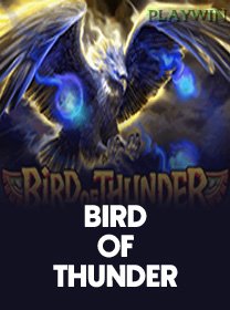 Bird Of Thunder icon