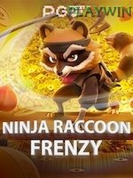 Ninja Raccoon Frenzy icon